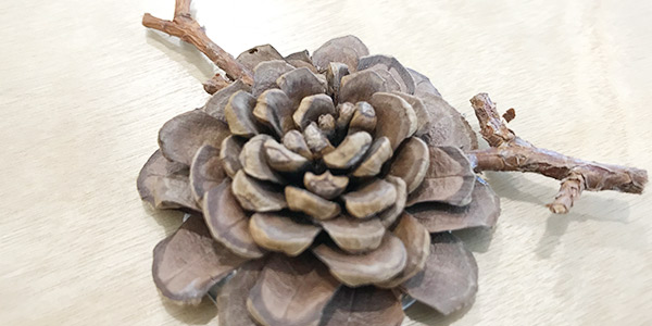 솔방울로 브로치 만들기