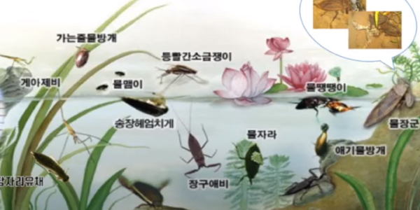  고창의 돌을 편광현미경으로 관찰해요